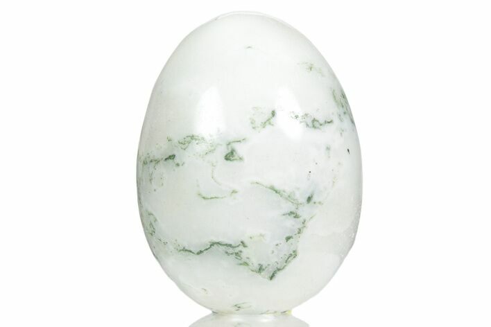 Polished Tree Agate Egg - India #356354